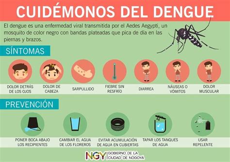 dengue que es sintomas y tratamiento